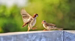 Read more about the article जीवन की सीख़ – प्रेरणादायक कविता