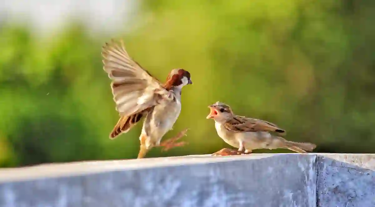 Read more about the article जीवन की सीख़ – प्रेरणादायक कविता